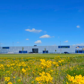 Exterior_w_wildflowers