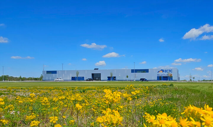 Exterior_w_wildflowers